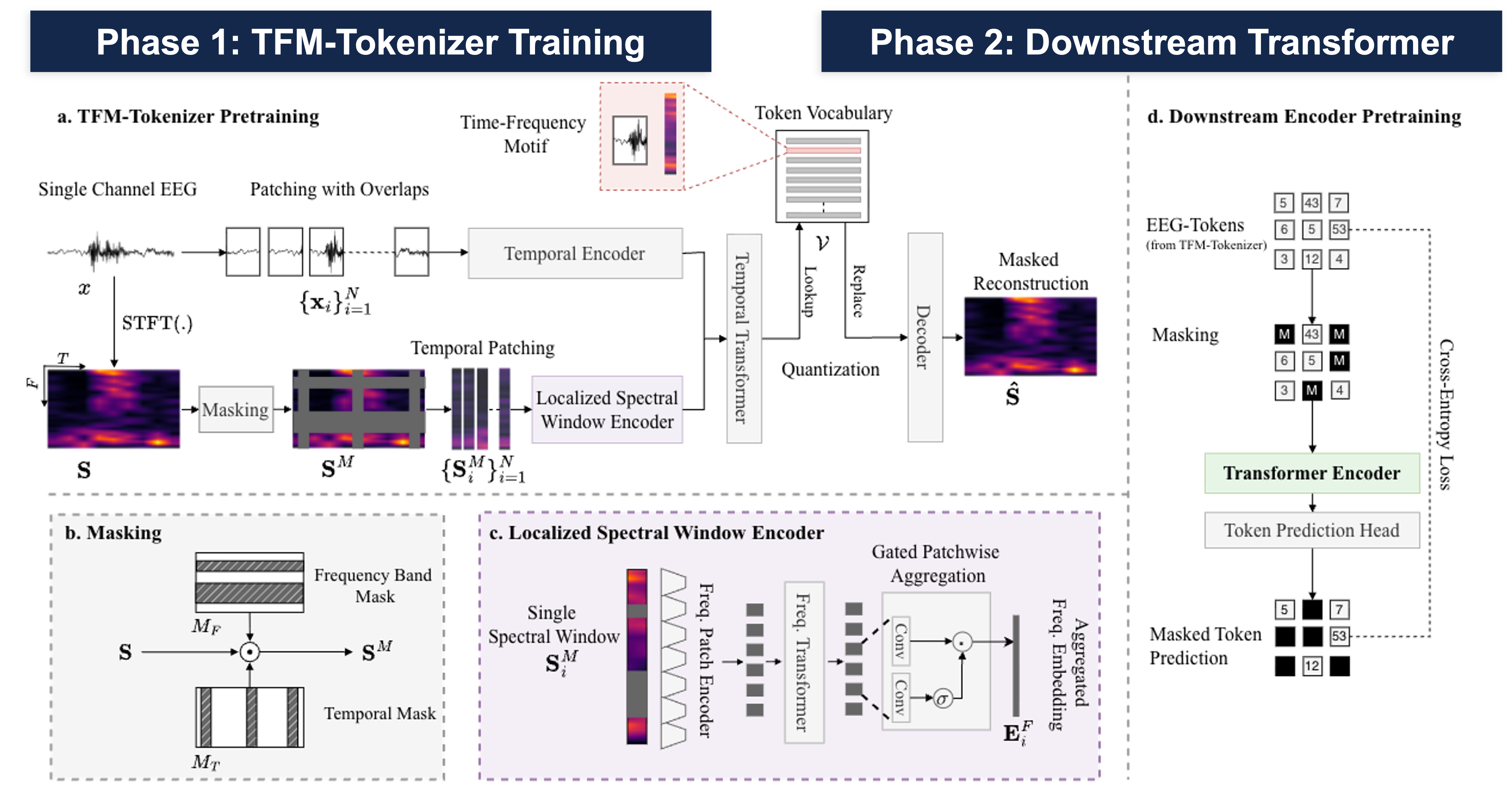 TFM-Tokenizer Framework